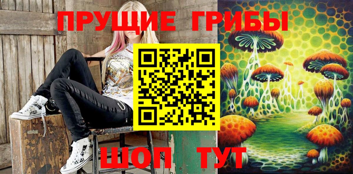 Дубна  Псилоцибиновые грибы MAGIC MUSHROOMS  Вход с VPN  Псилоцибиновые грибы MAGIC MUSHROOMS 